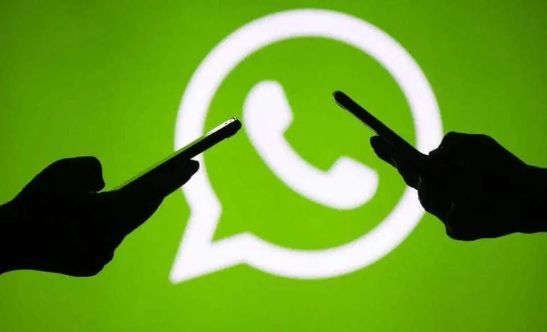 Bug WhatsApp