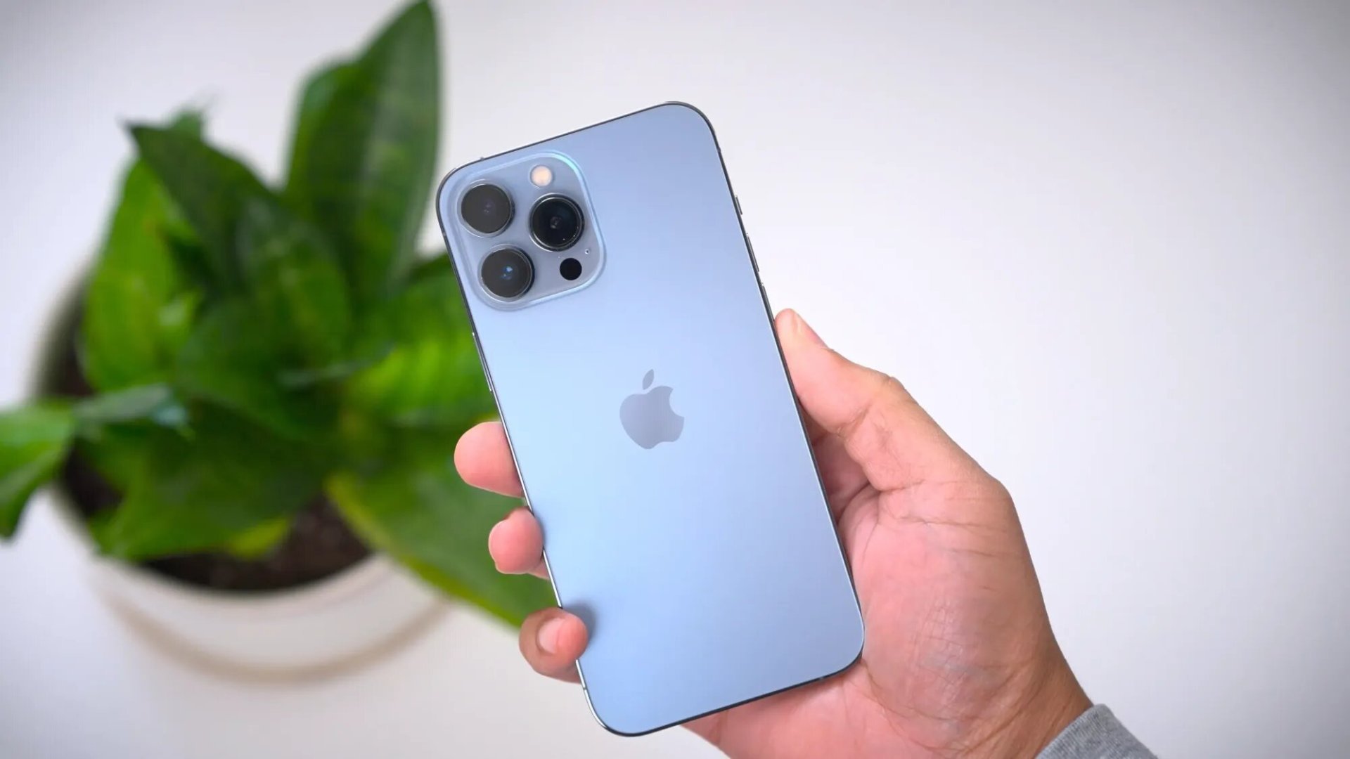 iPhone