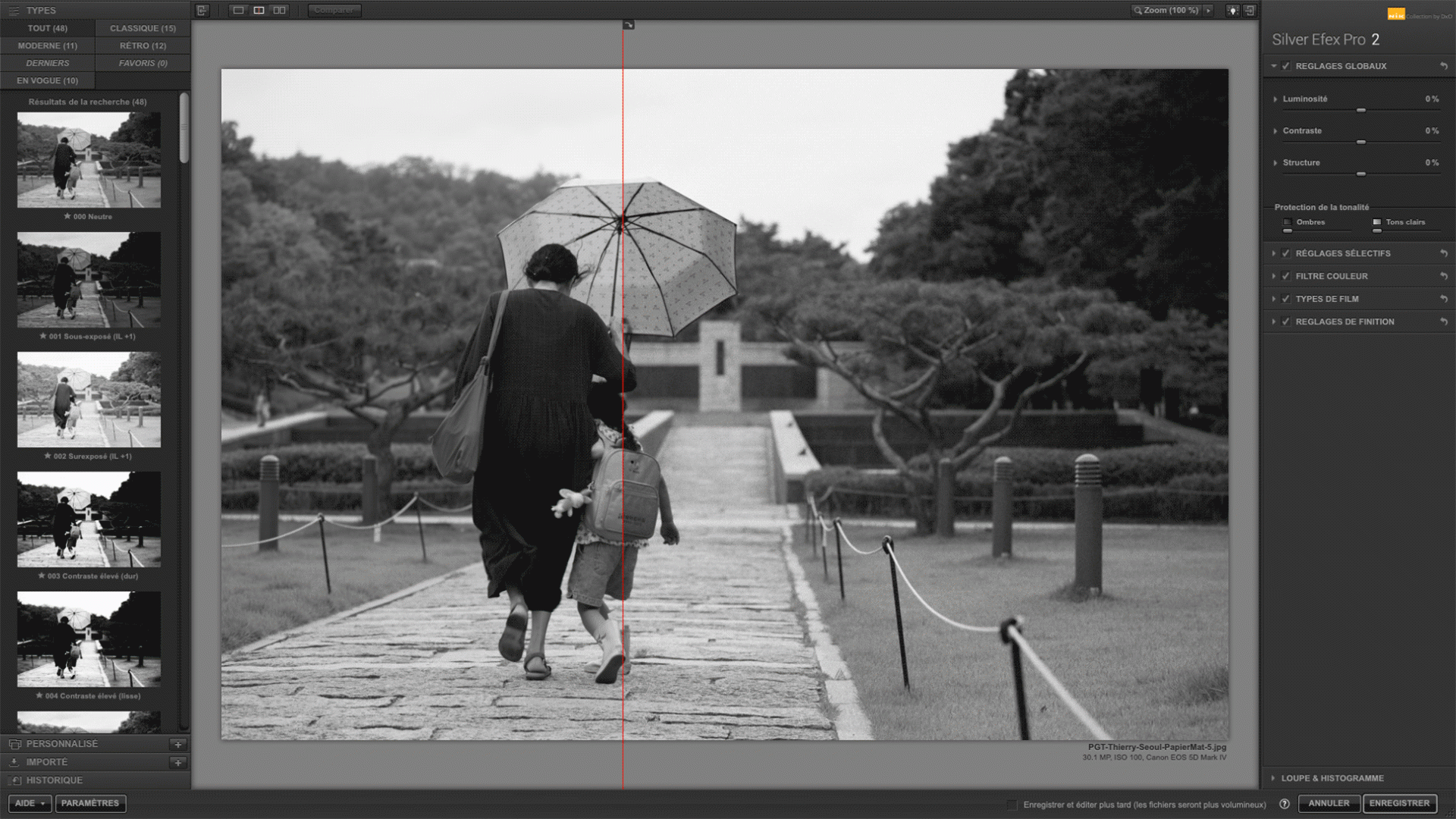 Nik Collection 3 By DxO - Silver Efex Pro 2