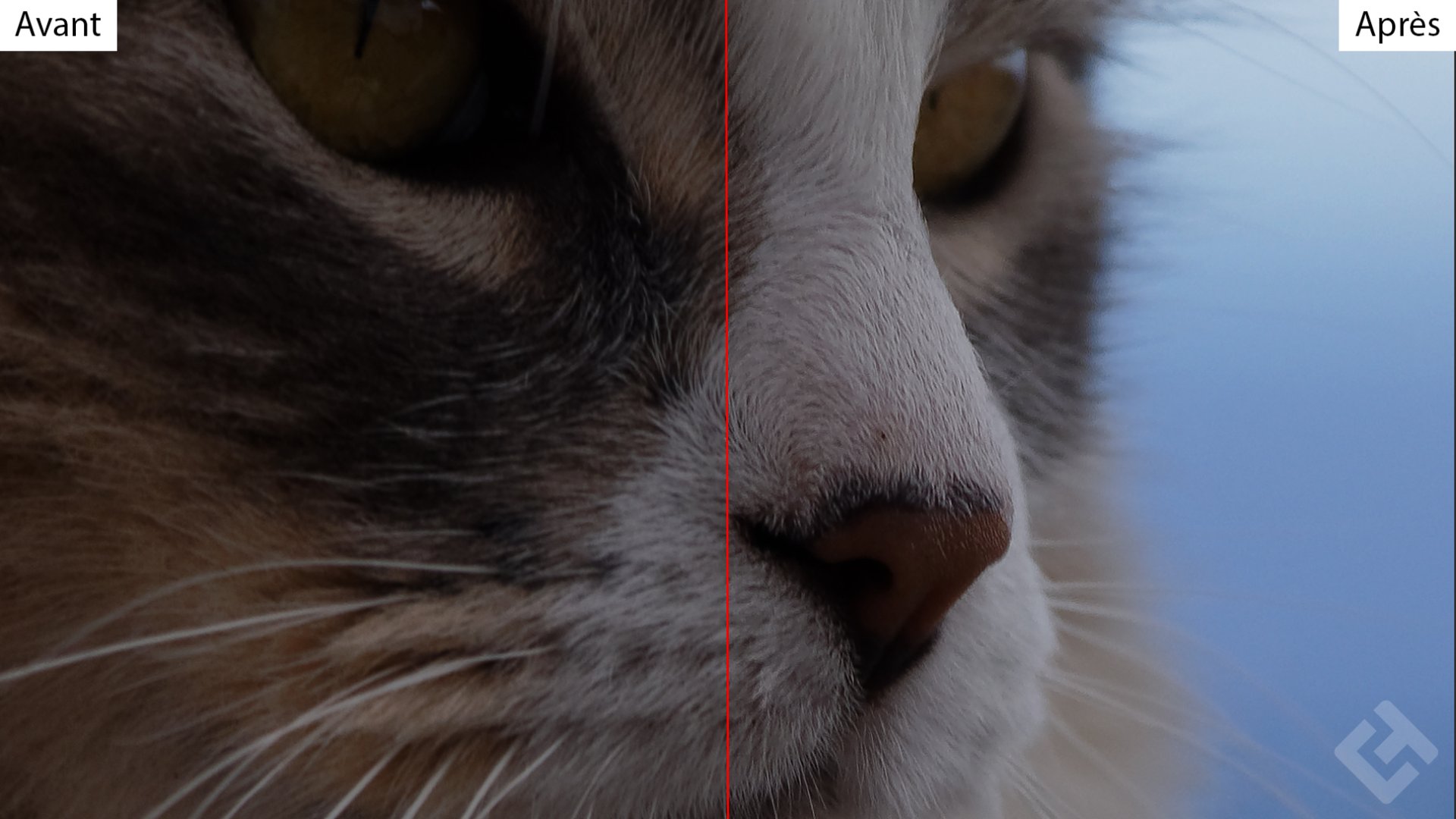 Nik Collection 3 By DxO - Sharpener Pro 3 Raw Presharpening
