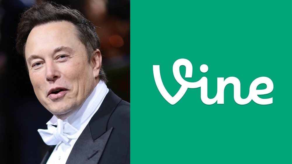 Vine pourrait faire son retour pour s'attaquer à TikTok