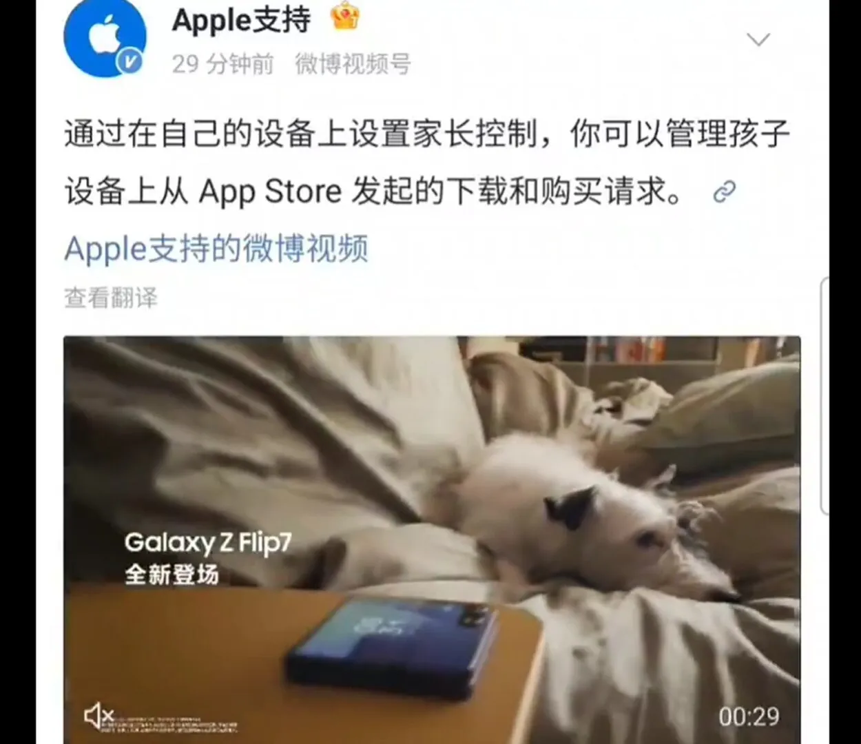 apple fait la pub du z flip 7