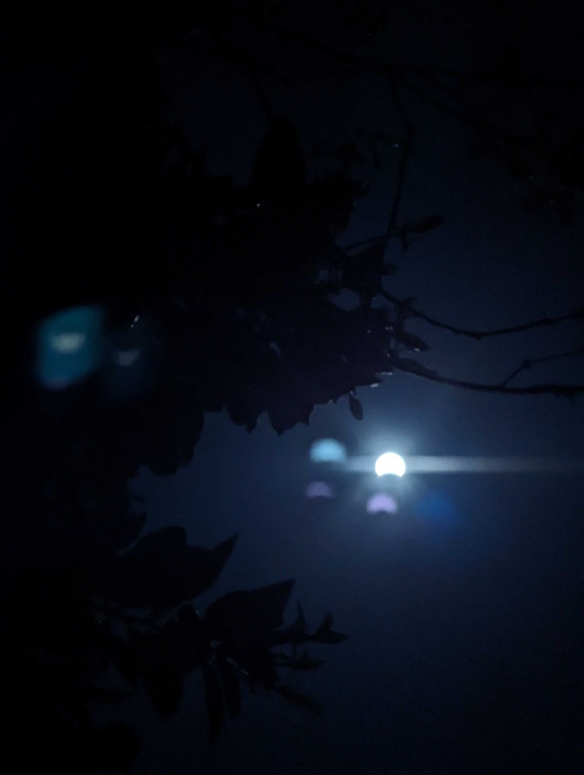 eclipse totale pixel 8 pro 1