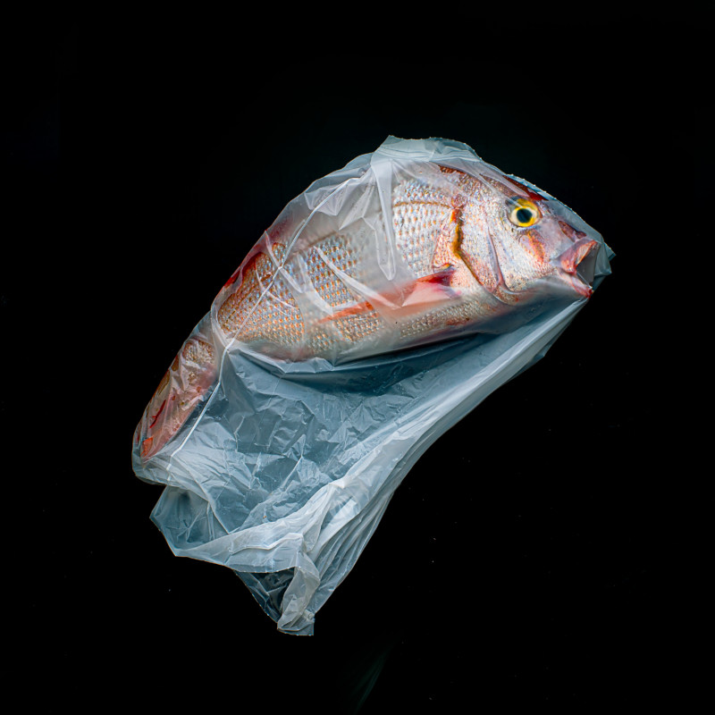 Jorge Reynal (Argentine) avec A Plastic Ocean