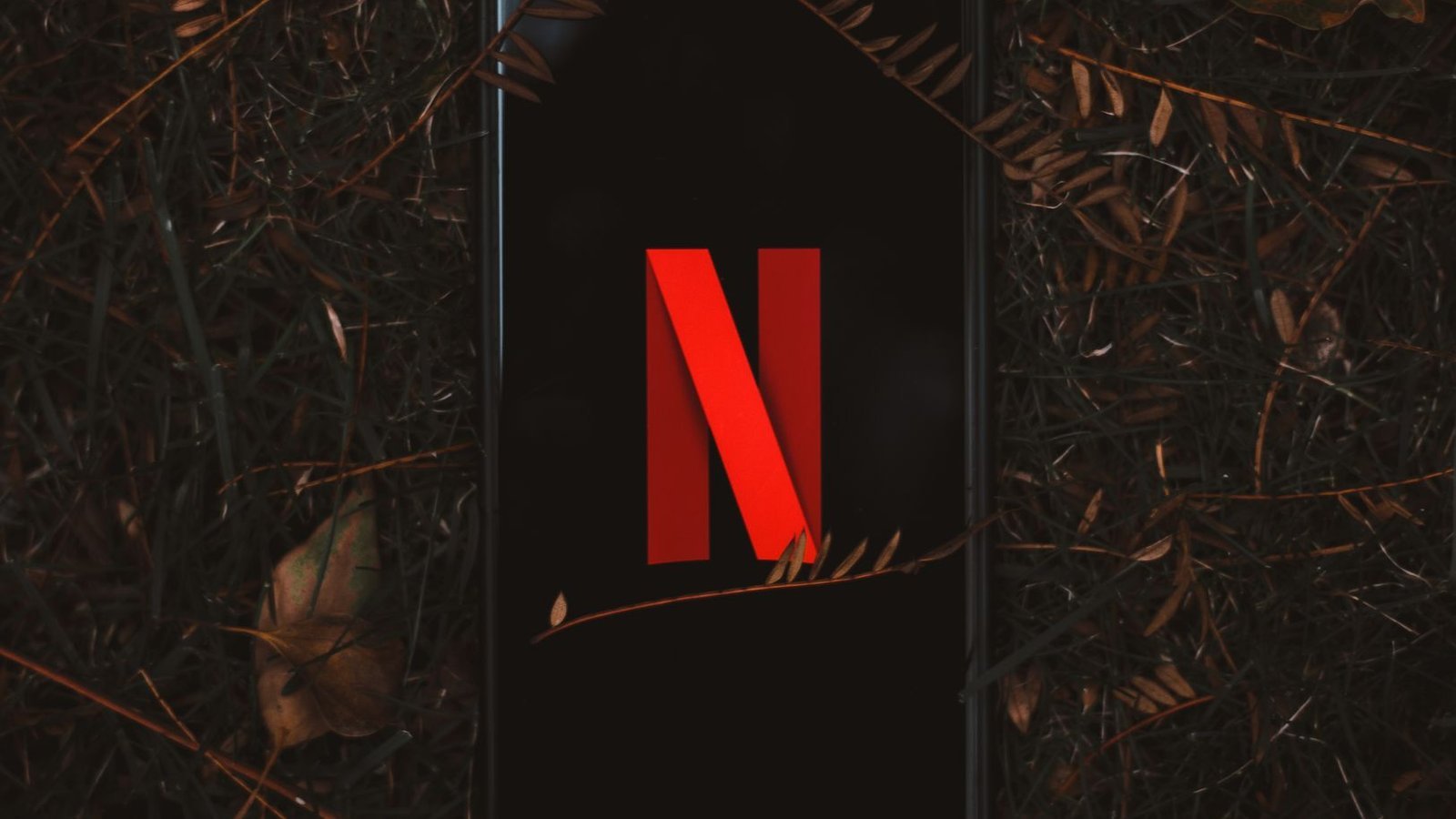 Logo Netflix sur écran de smartphone posé sur feuilles
