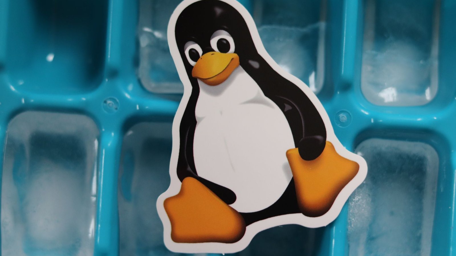 Logo Linux Tux mascotte pingouin sur fond bleu