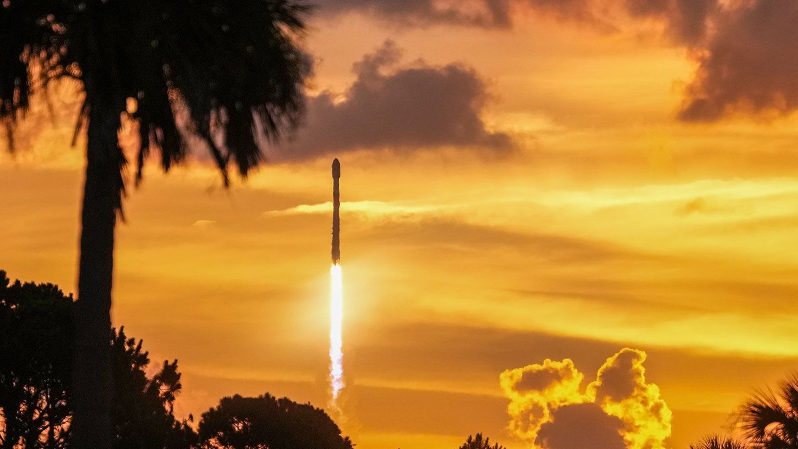 SpaceX lance 50 satellites Starlink en 19 heures depuis deux côtes à la fois