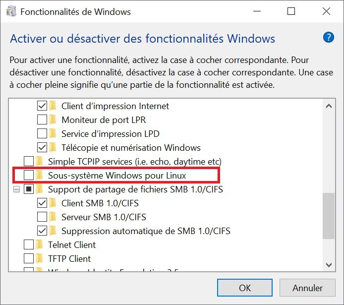 terminal linux sur windows