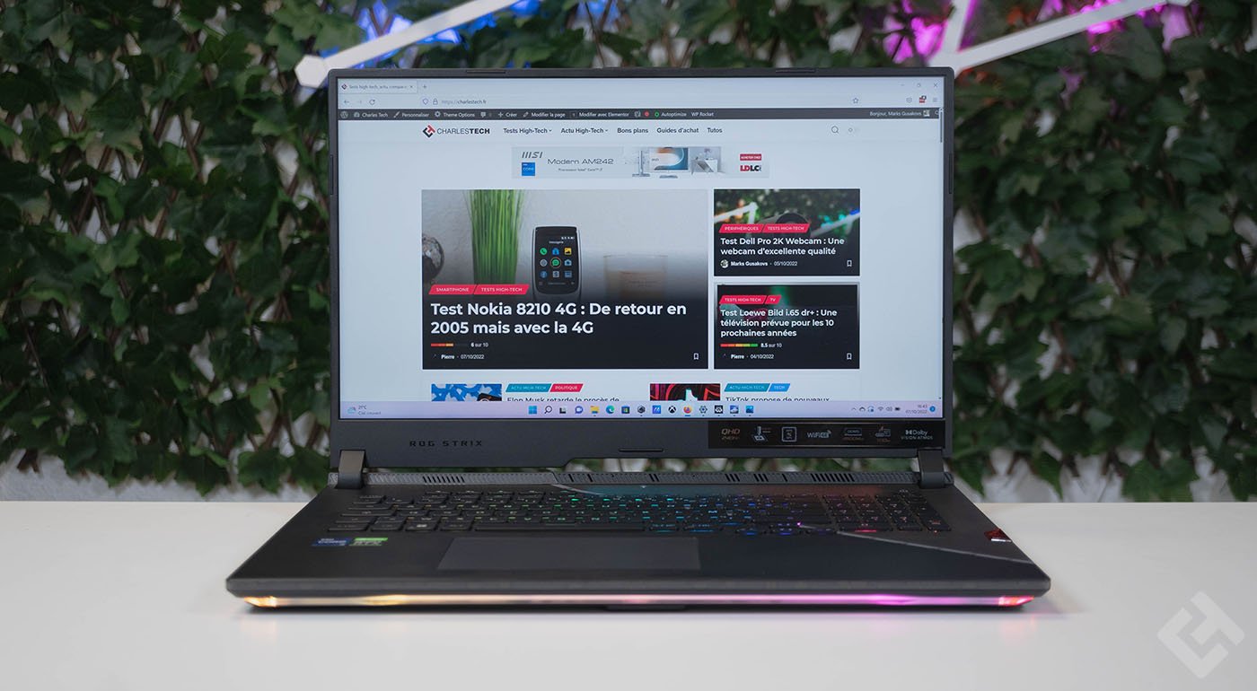 Ecran du Asus Rog Strix Scar 17 G733Z