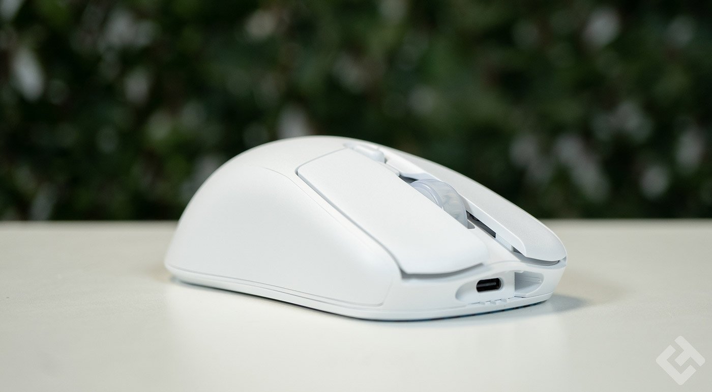 test fnatic Bolt