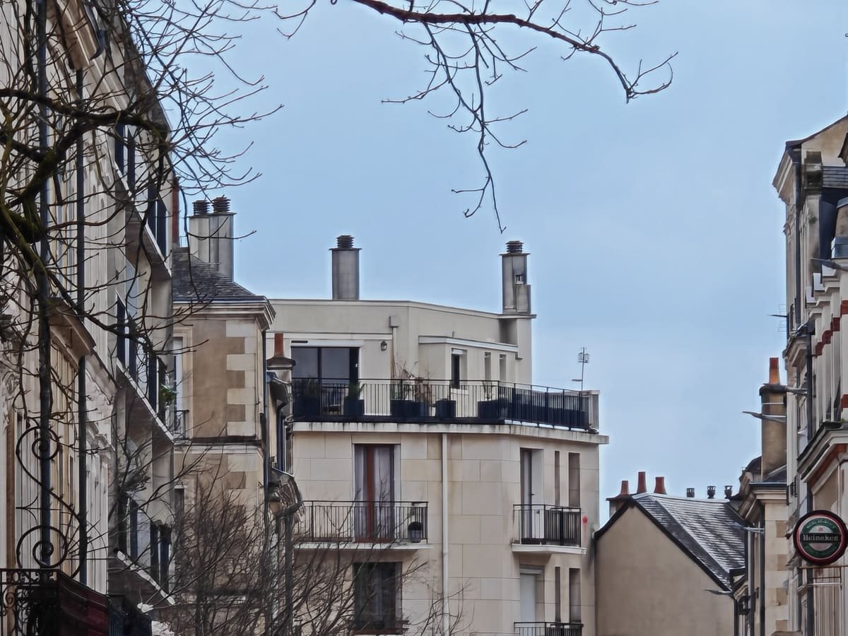 test honor magic7 pro photo (10)