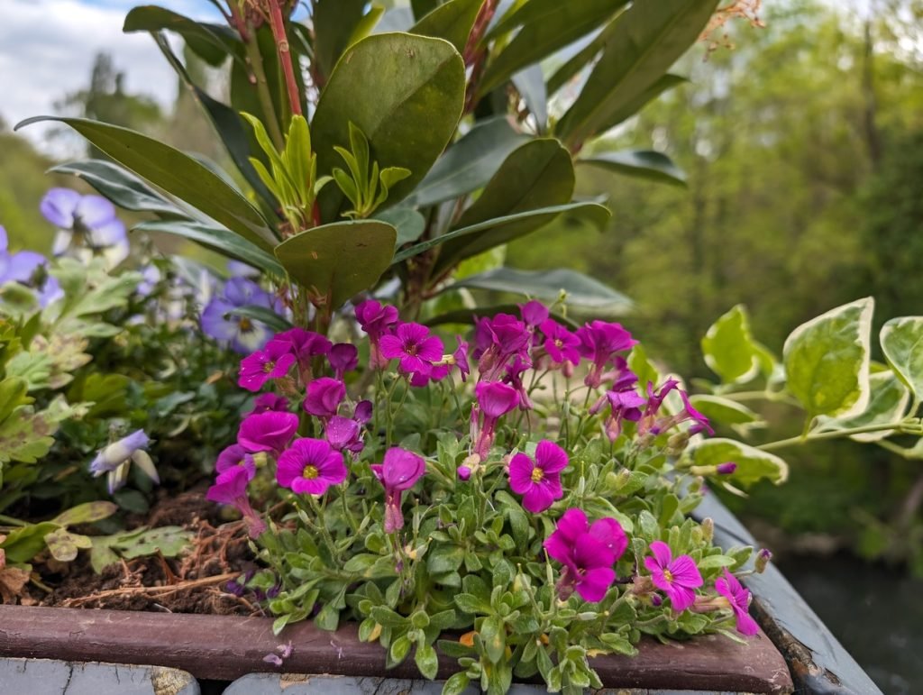 test photo google pixel 8 pro (26)