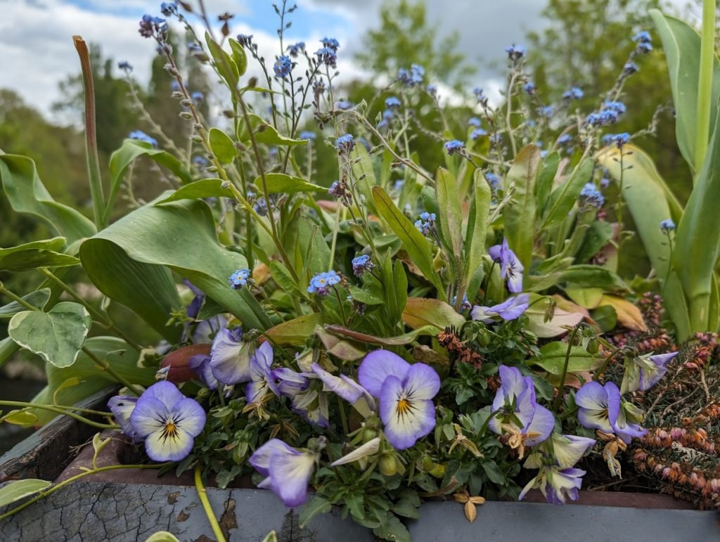 test photo google pixel 8 pro (27)