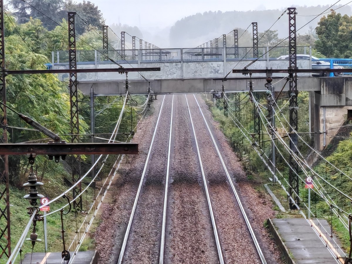 test photo honor 200 pro (12)