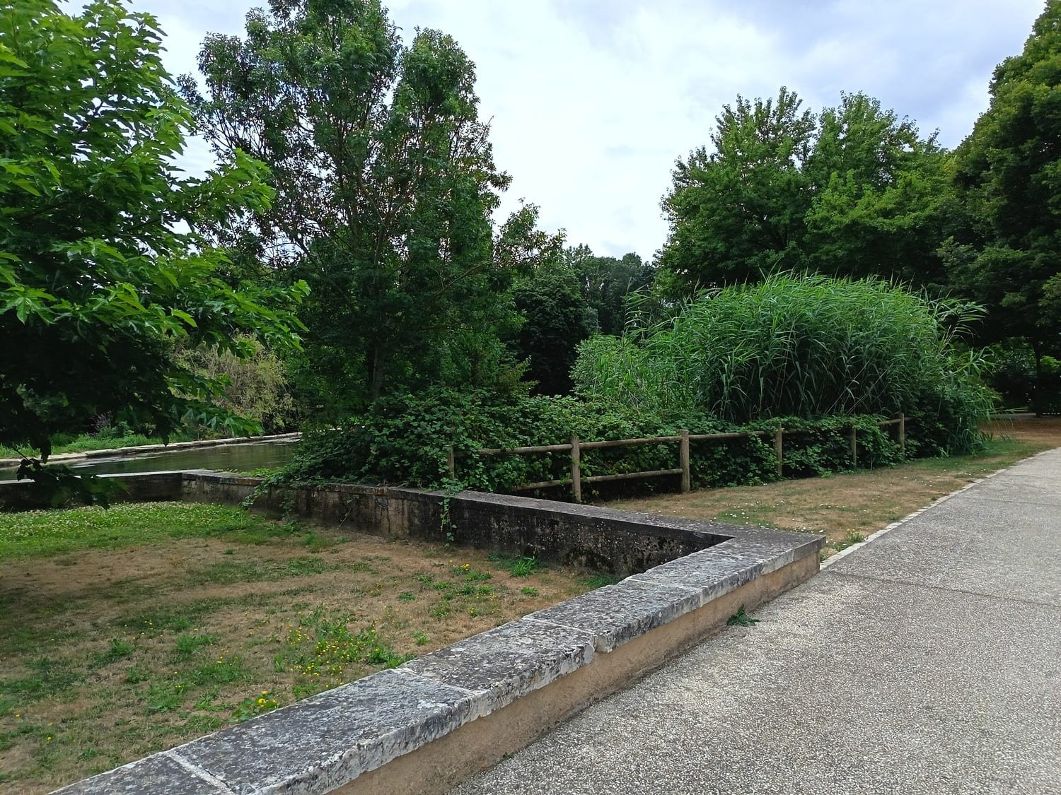 test photo honor 400 lite