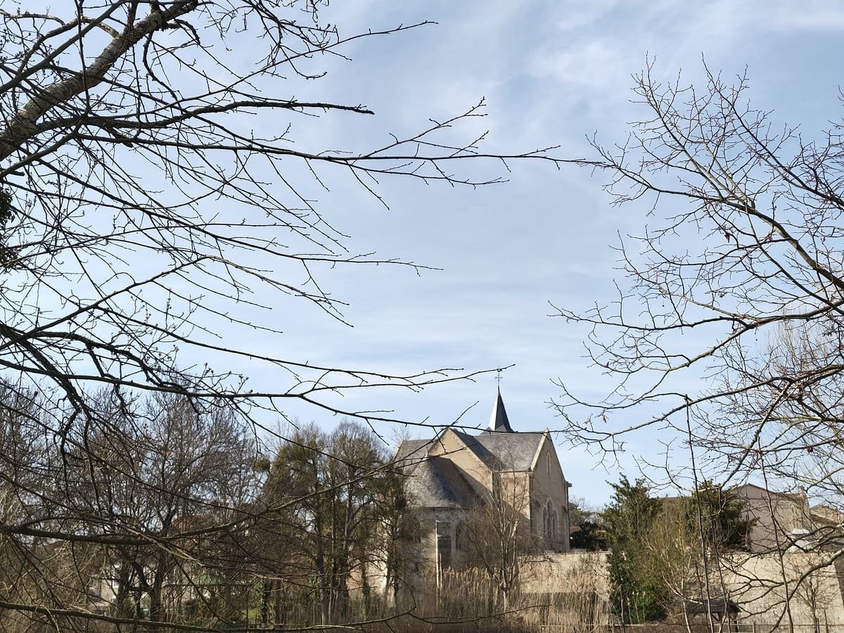 test photo nothing phone 3a pro (9)