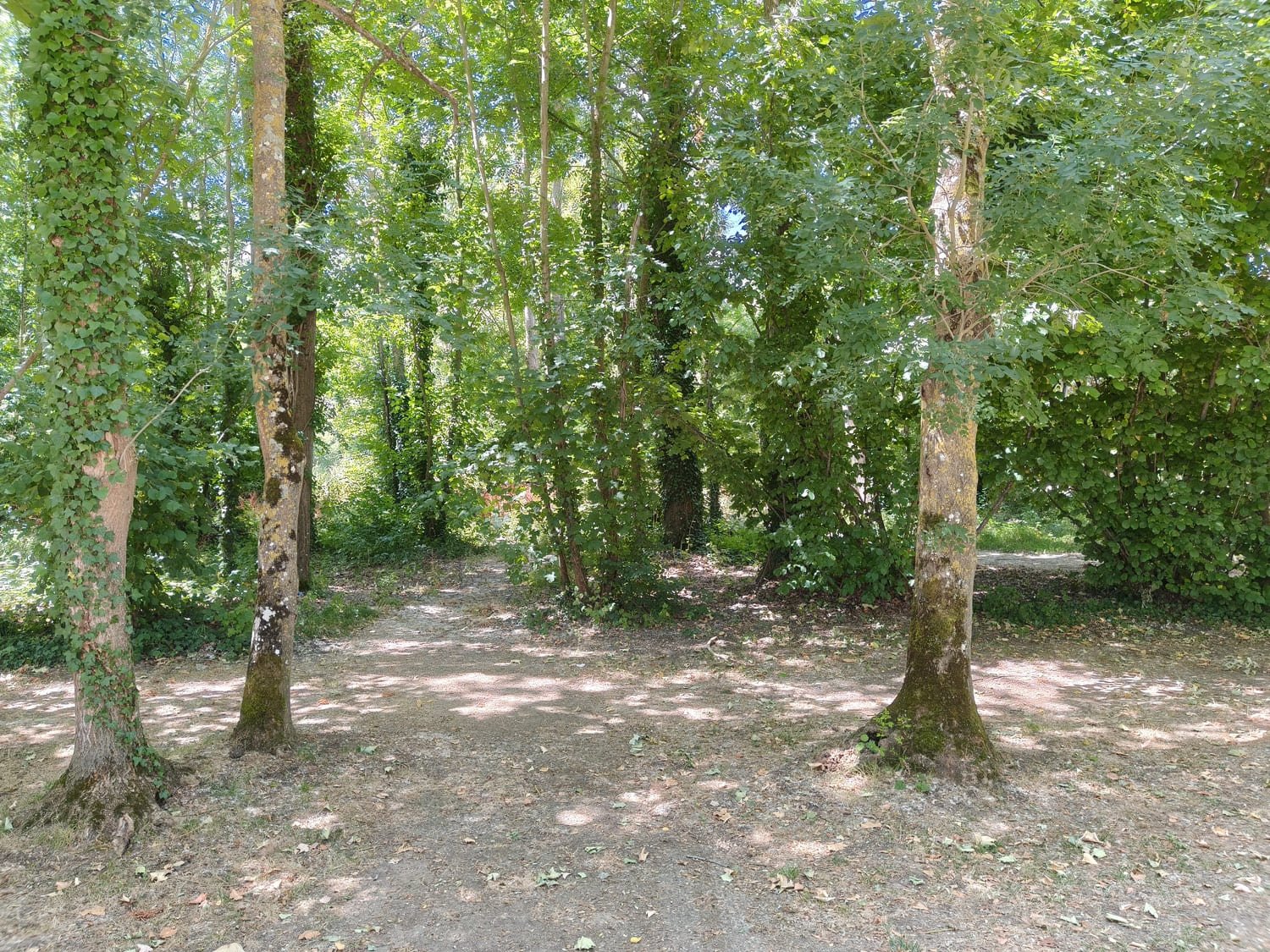 realme gt7 test photo