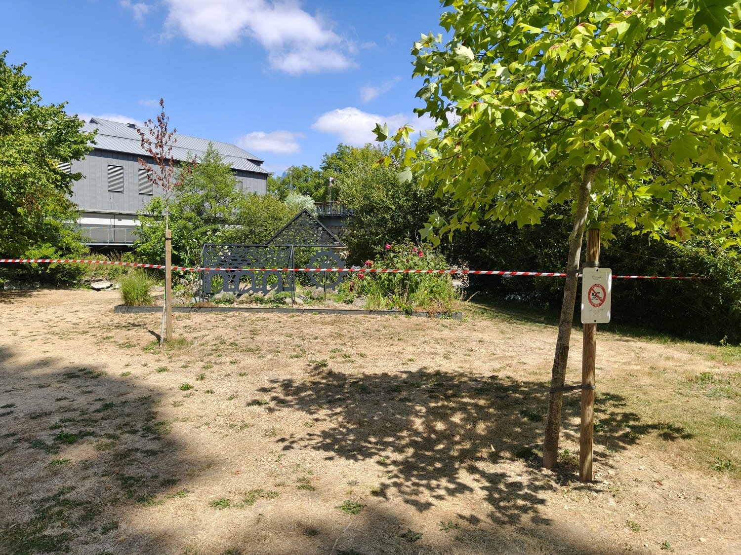 realme gt7 test photo