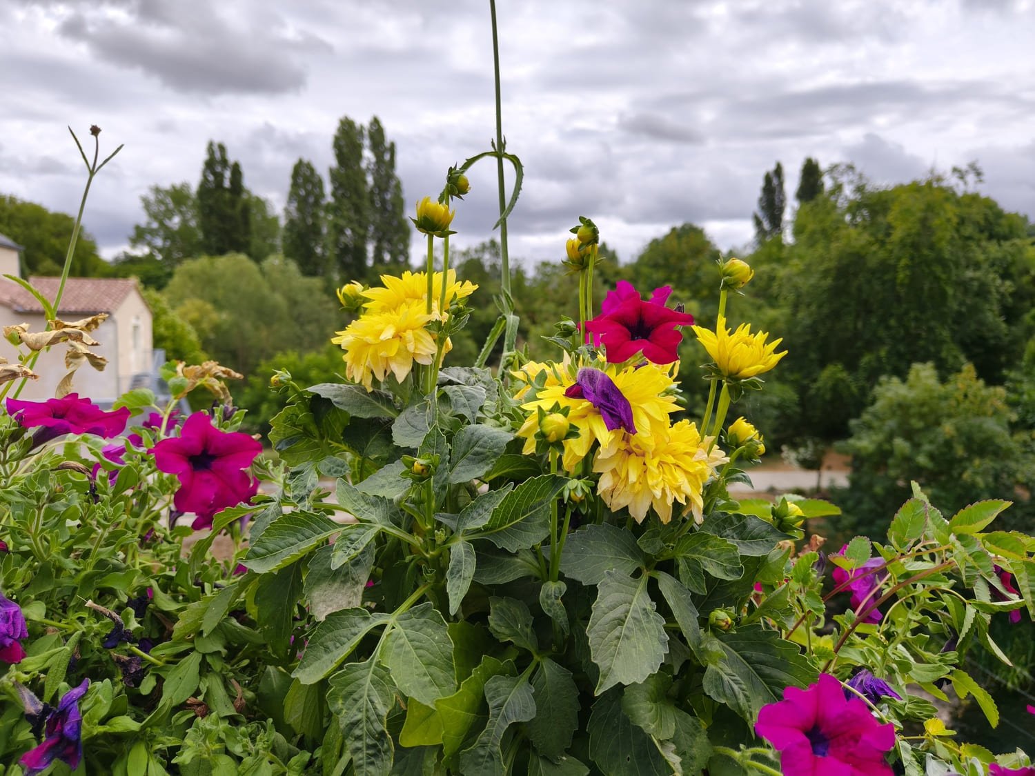 test photo realme gt 7t