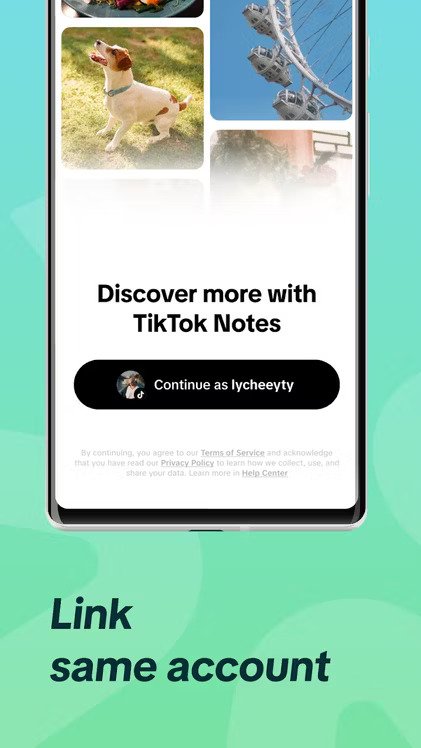 tiktok notes inscription