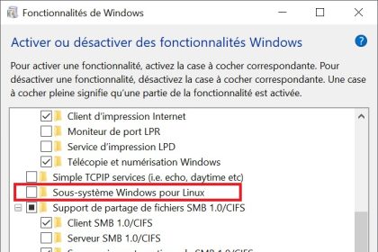 terminal linux sur windows