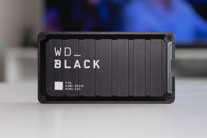 test du wd black P50