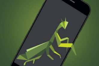 Roaming Mantis