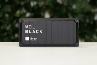 test du wd black p40