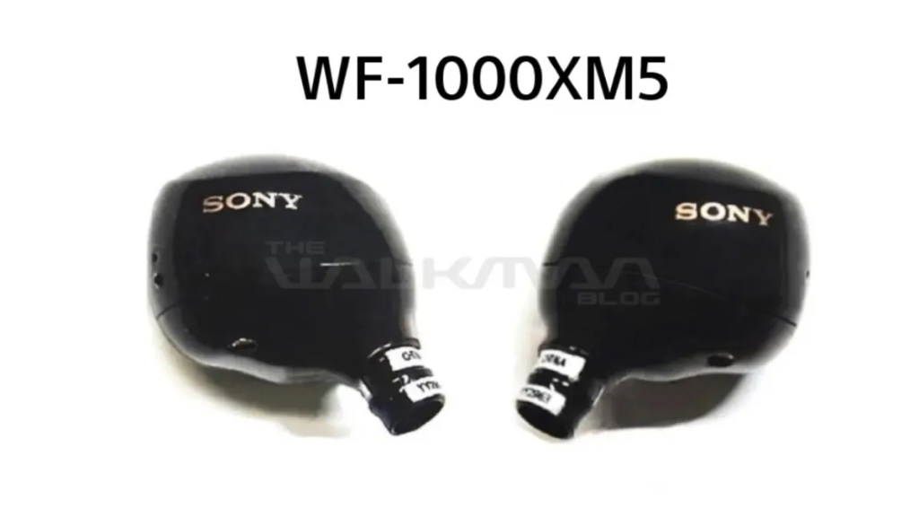 sony wf-1000xm5