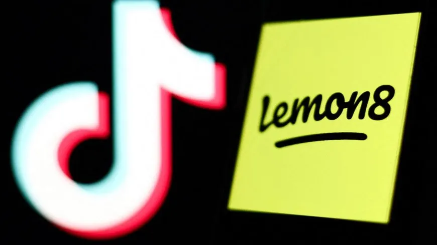 logo tiktok et lemon8