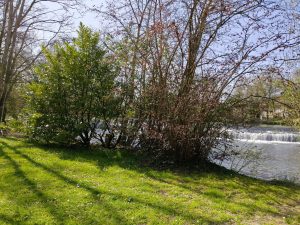 test realme 14 pro photo avis (11)