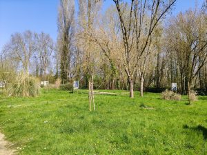 test realme 14 pro photo avis (12)