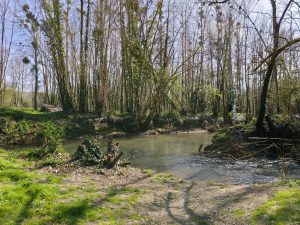 test realme 14 pro photo avis (13)