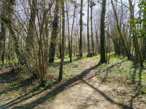 test realme 14 pro photo avis (2)