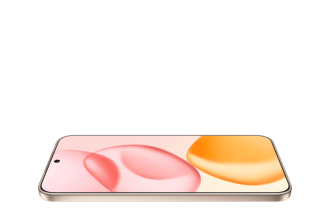 HONOR 400 Desert Gold 05