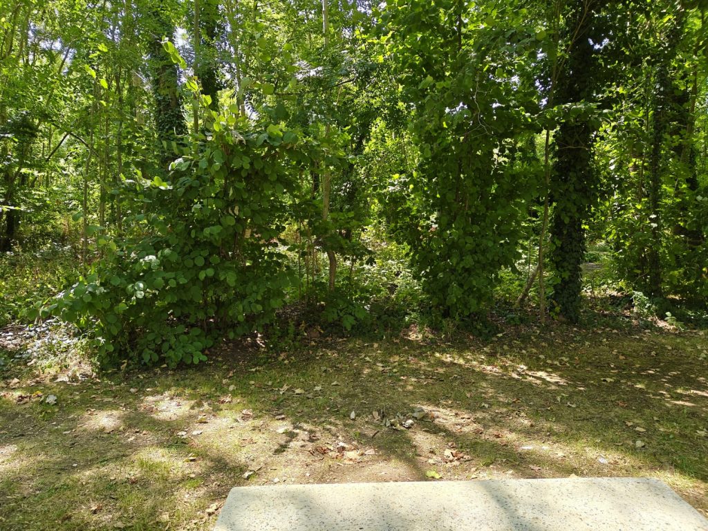 test du oneplus nord 5