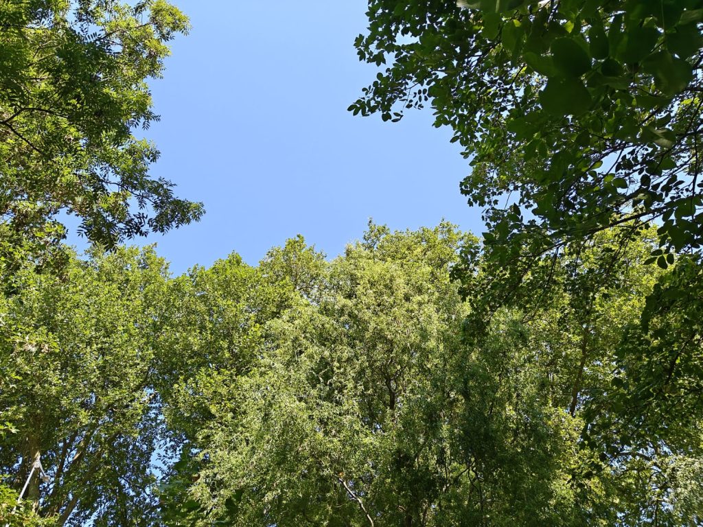 test du oneplus nord 5