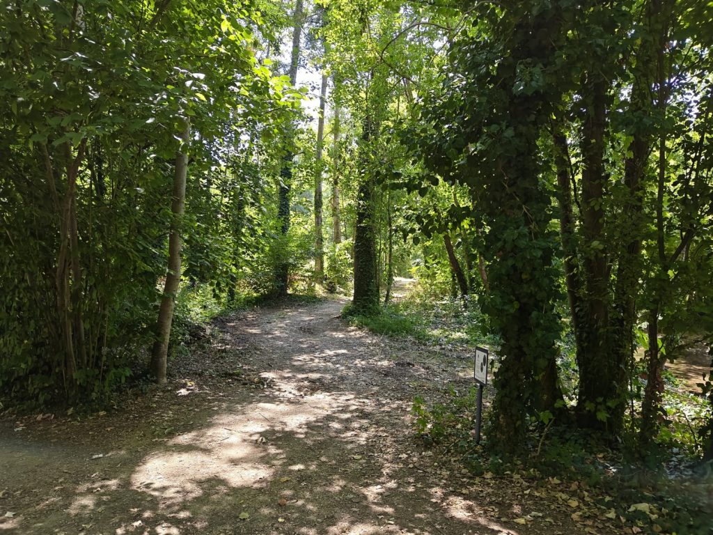 test du oneplus nord 5