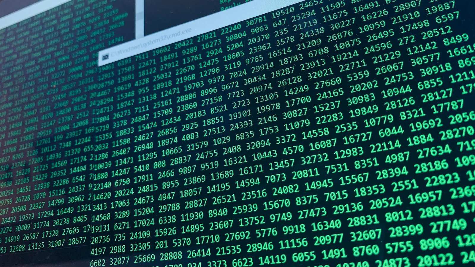 Faille serveur NGINX, flux de données numériques sur écran de terminal