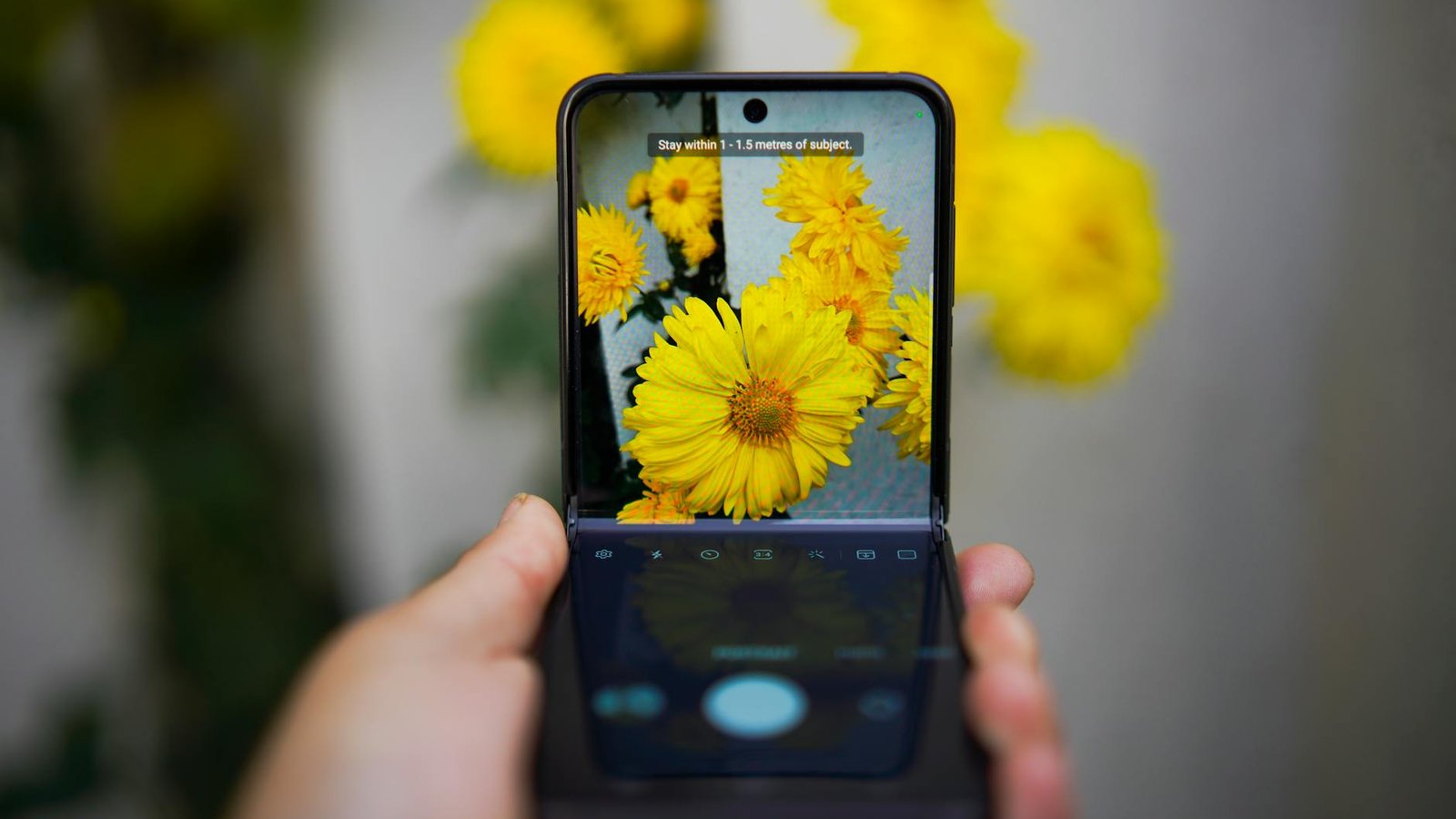 Samsung Galaxy Z Flip 8 en mode photo avec écran clapet déplié
