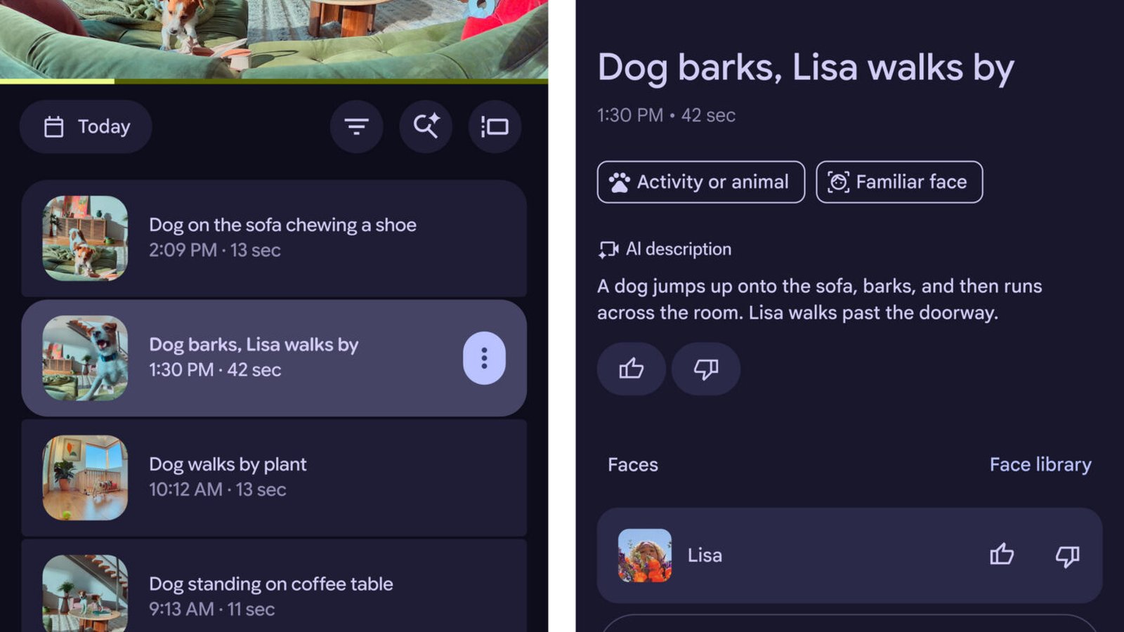 Application Google Home avec flux caméra Nest et descriptions IA Gemini