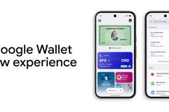 Google Wallet se refait une beauté avec un redesign complet sur Android