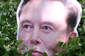 Procès Musk OpenAI — carton découpé tête d'Elon Musk dans des buissons