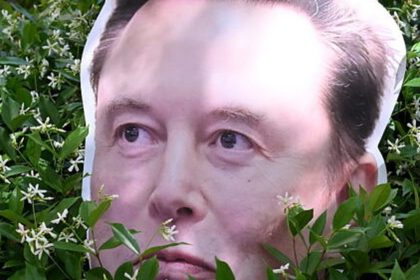 Procès Musk OpenAI — carton découpé tête d'Elon Musk dans des buissons