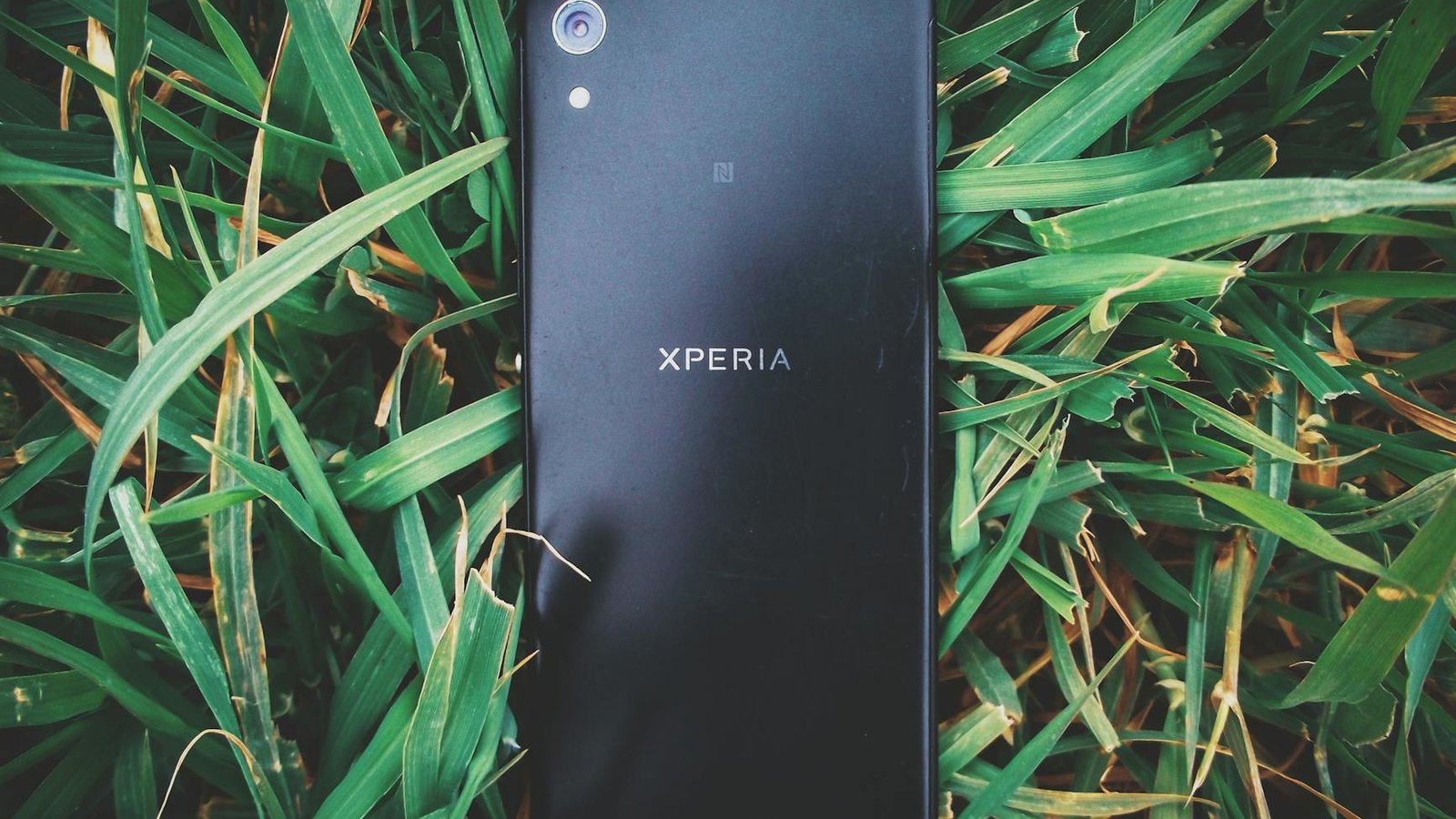Sony Xperia posé sur herbe verte, dos du smartphone visible